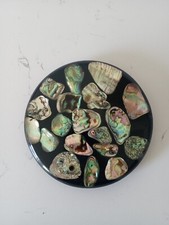 Abalone sea shell for sale  Forney