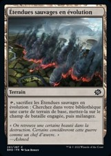 étendues sauvages évolution d'occasion  Remoulins