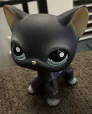 Lps 994 shorthair for sale  Atlanta
