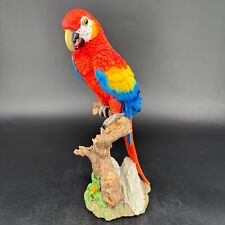 Multicolor macaw parrot for sale  Appleton