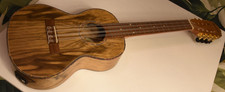 Ashbury 89t8e string for sale  LEEDS