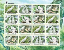 Wwf white cockatoo for sale  PONTYPRIDD