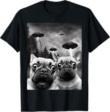Frenchie ufo selfie for sale  Amityville