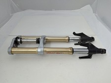 Forcelle triumph street usato  Chignolo Po
