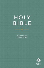 Holy bible economy for sale  UK