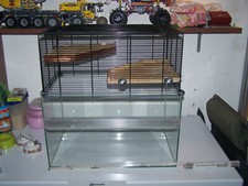 Kleines terrarium glas gebraucht kaufen  Essen