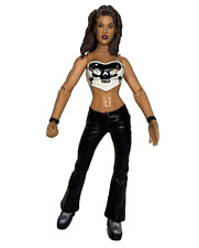 Wwe lita wrestling for sale  BIRMINGHAM