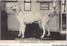 Ailp6 0541 chien d'occasion  France