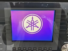 LCD para Yamaha Clavinova CVP-403 tela LCD (somente LCD) comprar usado  Enviando para Brazil