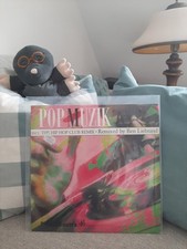 Maxi vinyl pop gebraucht kaufen  Föhr