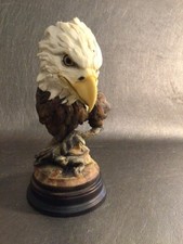 Bald eagle head for sale  Gainesville