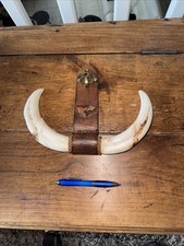 Paire dents dents d'occasion  Ollioules