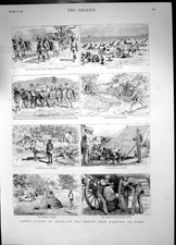 Antique old print for sale  UK
