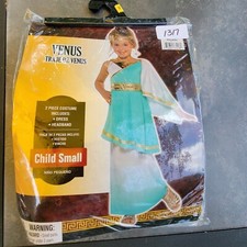 Amscan girls blue for sale  Henrietta