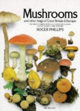 Mushrooms fungi great for sale  UK