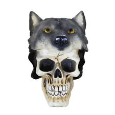 Teschio con lupo usato  Italia