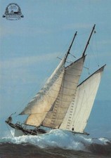 Cartolina imperia trofeo usato  Milano