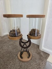 Terrarium glass natural for sale  RUSHDEN