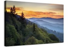 Great smoky mountains for sale  Fairmont