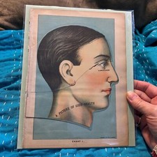Gráfico de rosto anatômico E. J. Stanley camadas desdobráveis carta médica 1916 comprar usado  Enviando para Brazil
