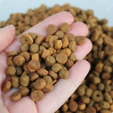 Hoghouse 500g african for sale  CROYDON