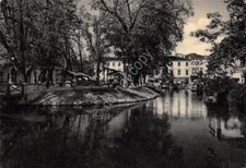 Cartolina treviso pescheria usato  Milano