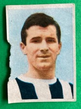 Canella udinese figurina usato  Gatteo