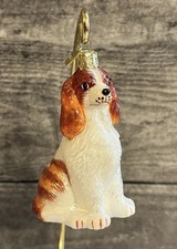 cavalier king charles spaniel for sale cavalier king charles spaniel for sale Washington