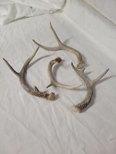 Lot whitetail deer for sale  Melcher Dallas