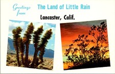 Greetings lancaster california for sale  Galion