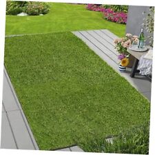 Hebe artificial grass for sale  Miami