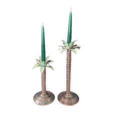 Tropical palm tree for sale  Grand Island