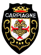 Ecusson carpiagne camp d'occasion  Épinay-sous-Sénart