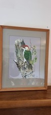 Vintage framed woodpecker for sale  FORDINGBRIDGE