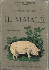 Marchi pucci maiale usato  Italia