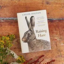 Raising hare instant for sale  DUNSTABLE