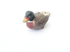 Ente mallard stockente gebraucht kaufen  Königswinter