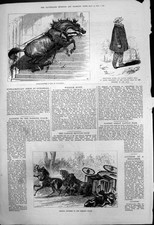 Antique old print for sale  UK