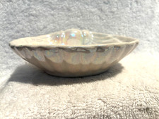 Iridescent white scallop for sale  Wilmington