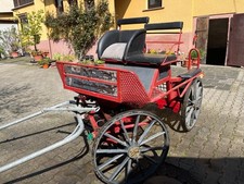 Marathonkutsche gebraucht kaufen  Karben