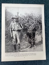 Australian camouflaged turkish for sale  UK