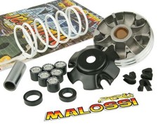 Variomatik malossi multivar gebraucht kaufen  Moers
