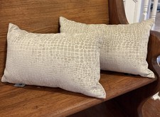 Croc embossed velvet for sale  Cornelius