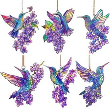 Colibrì colorato cattura usato  Spedire a Italy