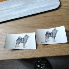John player dogs. for sale  KIDDERMINSTER