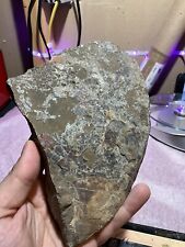 1.9 natural large for sale  Fort Collins