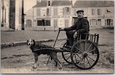 Sandillon attelage chien d'occasion  France