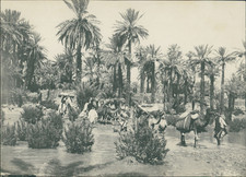 Maroc oued zouzfana d'occasion  Pagny-sur-Moselle