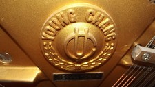 Pianoforte verticale young usato  Roma