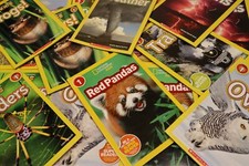Lot national geographic for sale  Somers